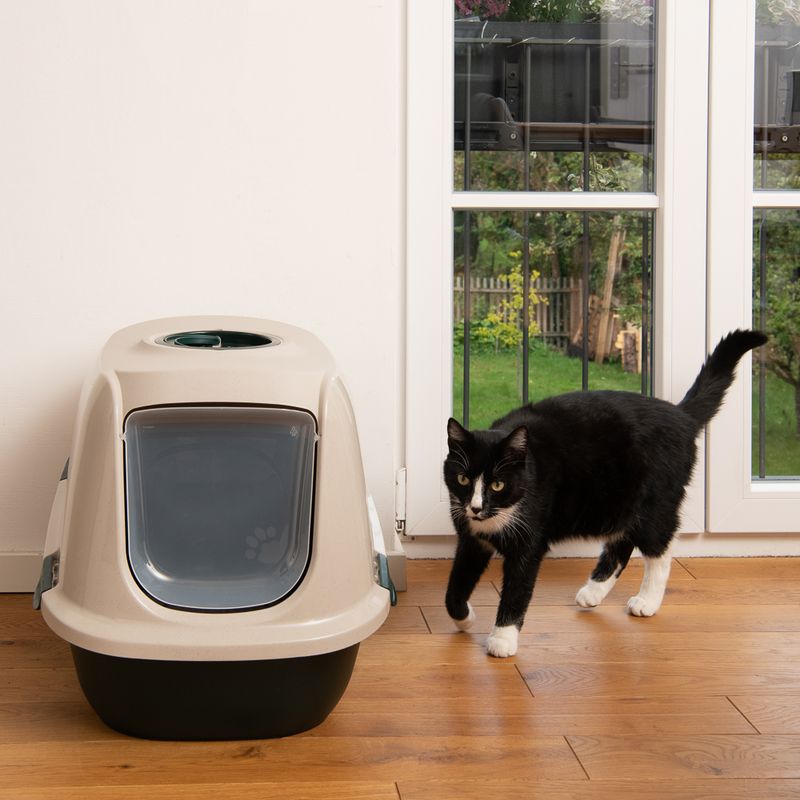 Closed cat litter box with flap, beige and black, next to a black and white cat in a room with wooden floor and glass door.