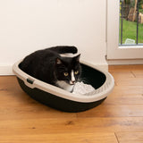 Black and white cat demonstrating use of an open plastic litter tray filled with white litter, placed on a wooden floor indoors.
