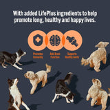 HiLife Dog 32 x 150g || HiLife || view 6