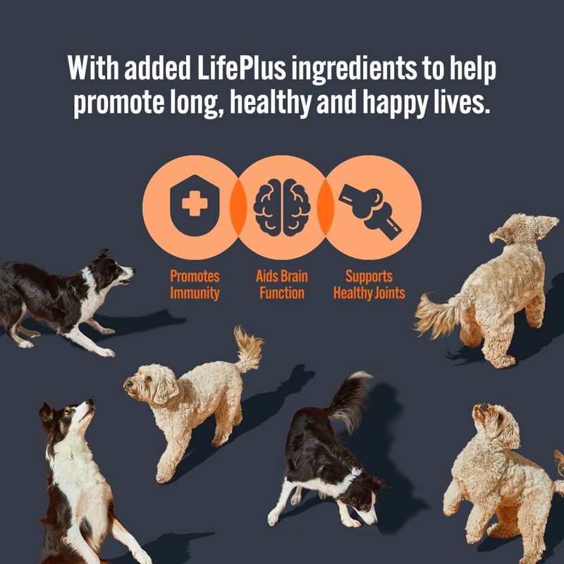 HiLife Dog 32 x 150g || HiLife || view 6