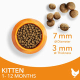 IAMS Advanced Nutrition Kitten with Fresh Chicken || IAMS || view 5