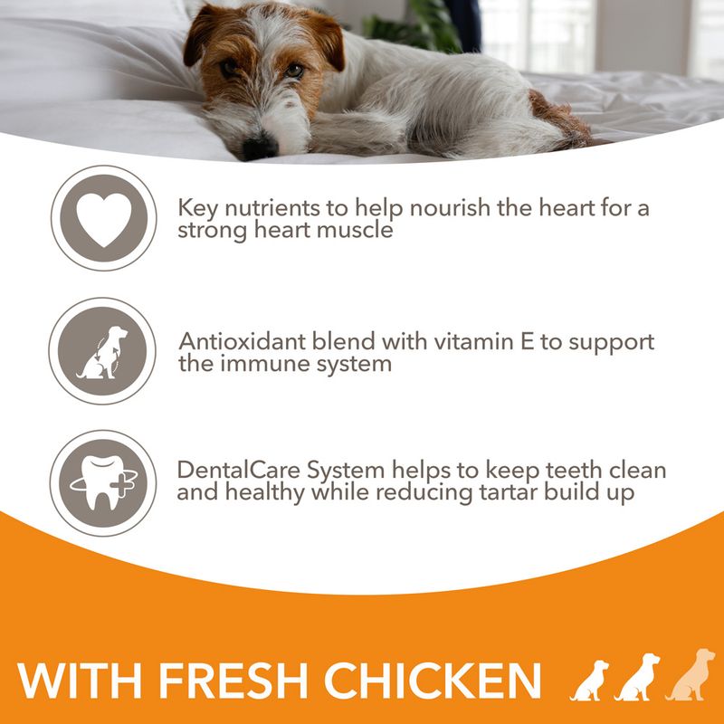 IAMS Advanced Nutrition Senior Small & Medium Dog 8+ with Chicken || IAMS || view 5