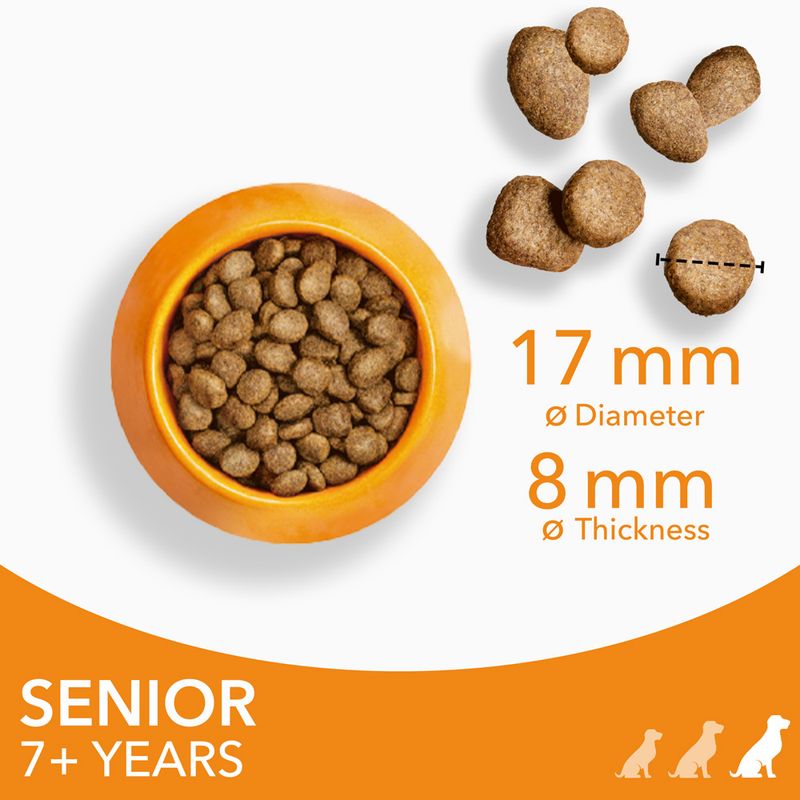 IAMS Advanced Nutrition Senior Large Dog 7+ with Chicken || undefined || view 4