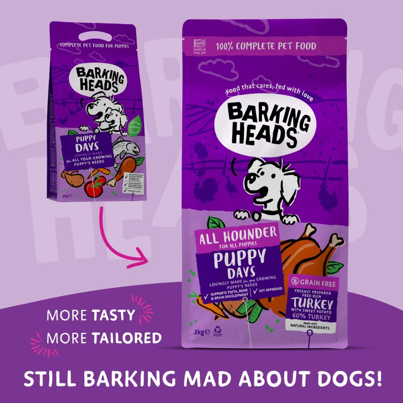 Barking Heads All Hounder Puppy Days Turkey || barking heads || view 1