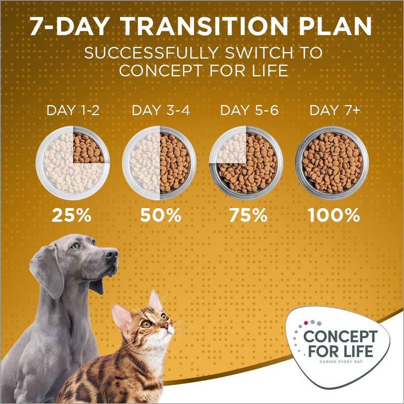 Concept for Life Indoor Cats || Concept for Life || view 12