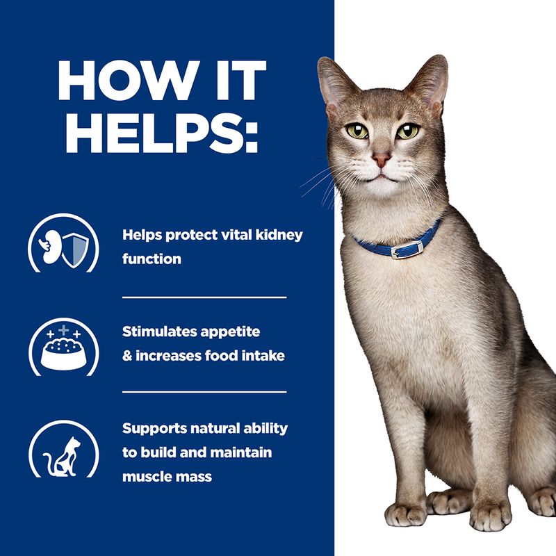 Hill's Prescription Diet Feline k/d Kidney Care - Tuna || Hill's Prescription Diet || view 6