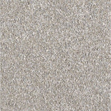 Close-up view of fine, light grey granules, showing the texture and size of the product material.