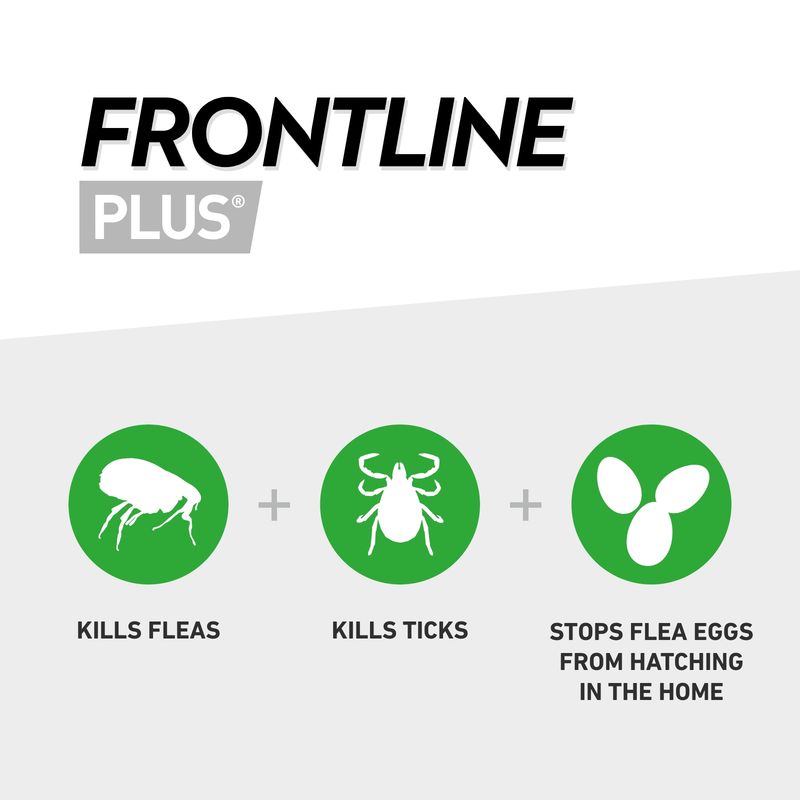 FRONTLINE® Plus Spot On for Dogs - L (20-40kg) || Frontline || view 3