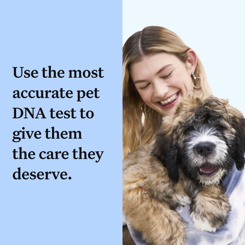 Wisdom Panel™ Breed Discovery Dog DNA Test || Wisdom Panel || view 4