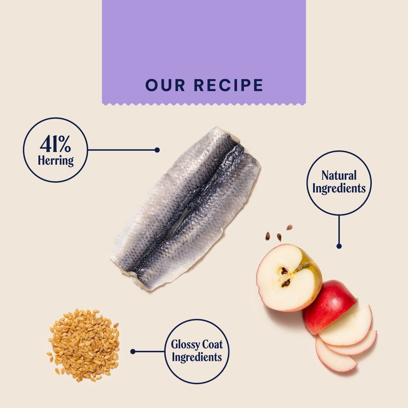 Recipe with 41% herring, natural ingredients and nutrients for a shiny coat. Shown: herring, apple pieces, linseed.