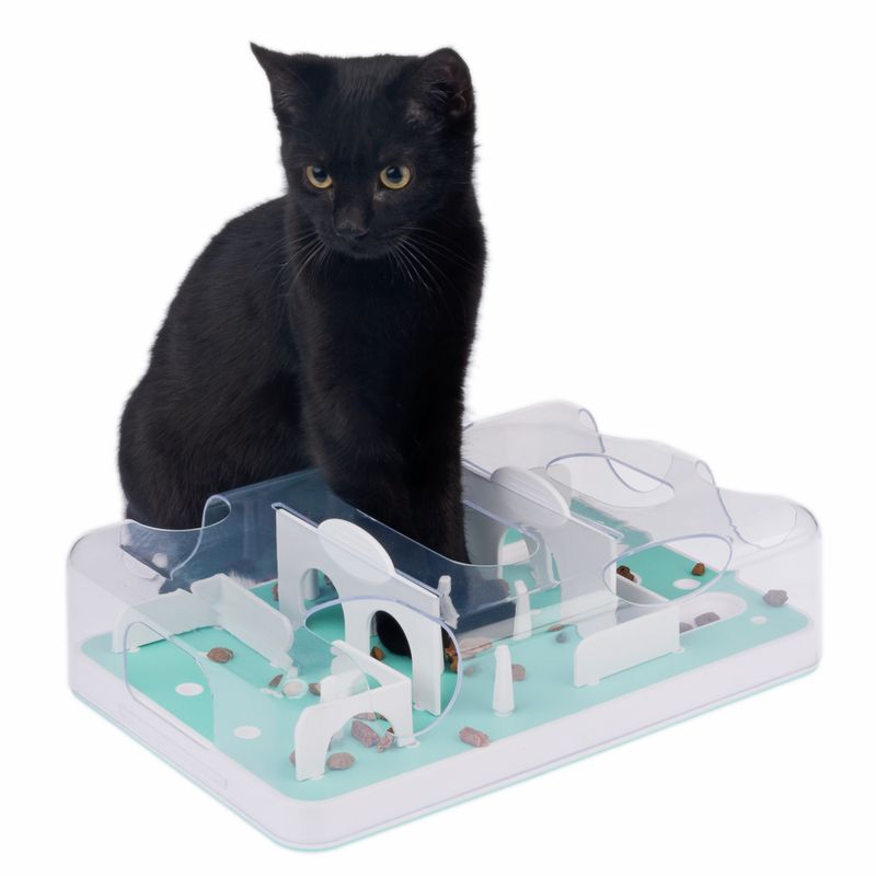 Black cat demonstrates interactive feeding toy with obstacles and compartments for dry food.
