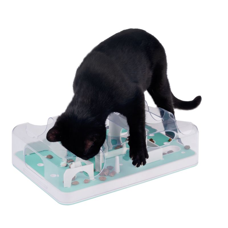 Black cat playing with interactive plastic feeding toy containing dry food in different compartments.
