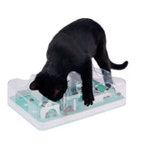 Black cat playing with interactive plastic feeding toy containing dry food in different compartments.