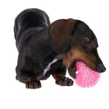 Dog with pink nubby ball in mouth, demonstrating toy use.