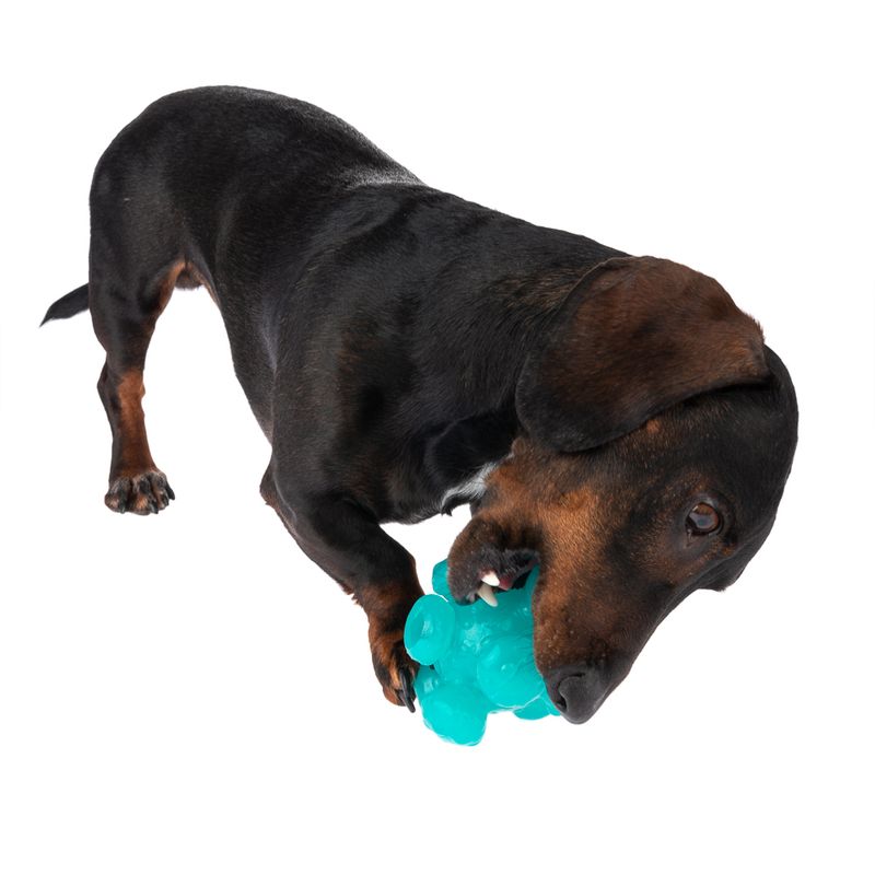 TIAKI Dog Toy Treat Ball Meteorite || TIAKI || view 5