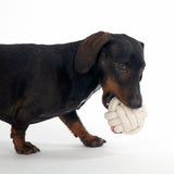 Dog holding a white rope chew toy in its mouth, suitable for interactive play and chewing.