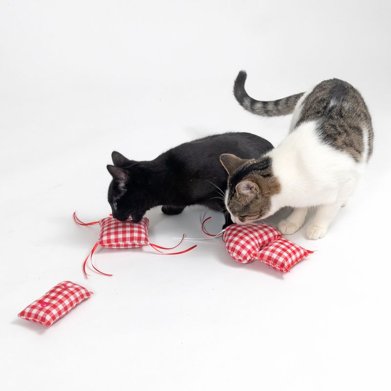 Two cats playing with red and white plaid toys filled with ribbons. Suitable for interactive play.