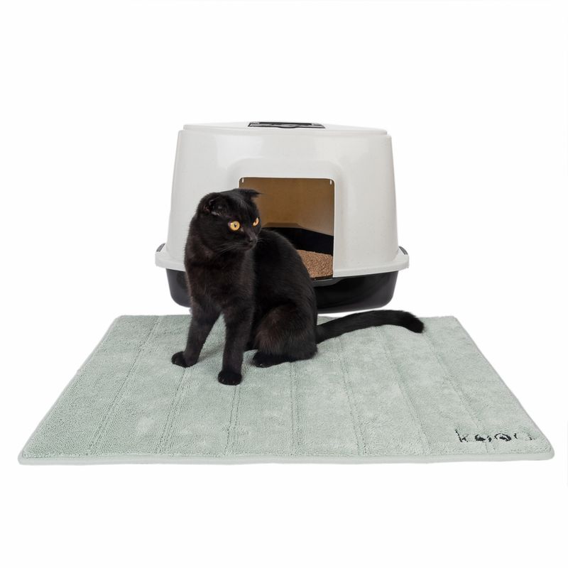 Black cat sitting on a light green mat in front of a closed cat toilet. Mat with visible 'kooa' logo.