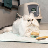 Long-haired white cat on a mat next to a brush and a comb, closed cat litter box in the background.