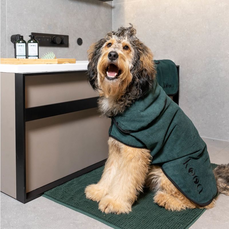 Dog wearing green bathrobe with 'kooa' lettering next to bathroom furniture. Care products and brush visible in background.
