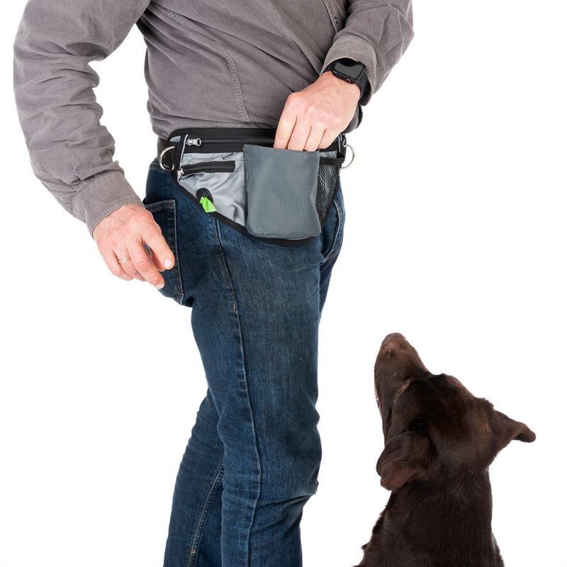 Man wearing a grey belt bag with multiple compartments, reaching inside. Dog looking up attentively.