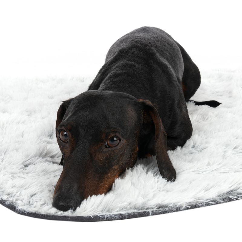 TIAKI Dog Blanket Cloud || TIAKI || view 5