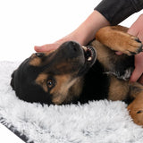TIAKI Dog Blanket Cloud || TIAKI || view 11
