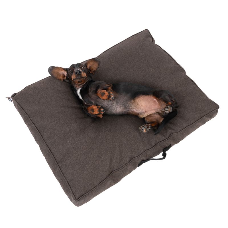 Dog lying relaxed on a brown, rectangular dog cushion with carrying handle.