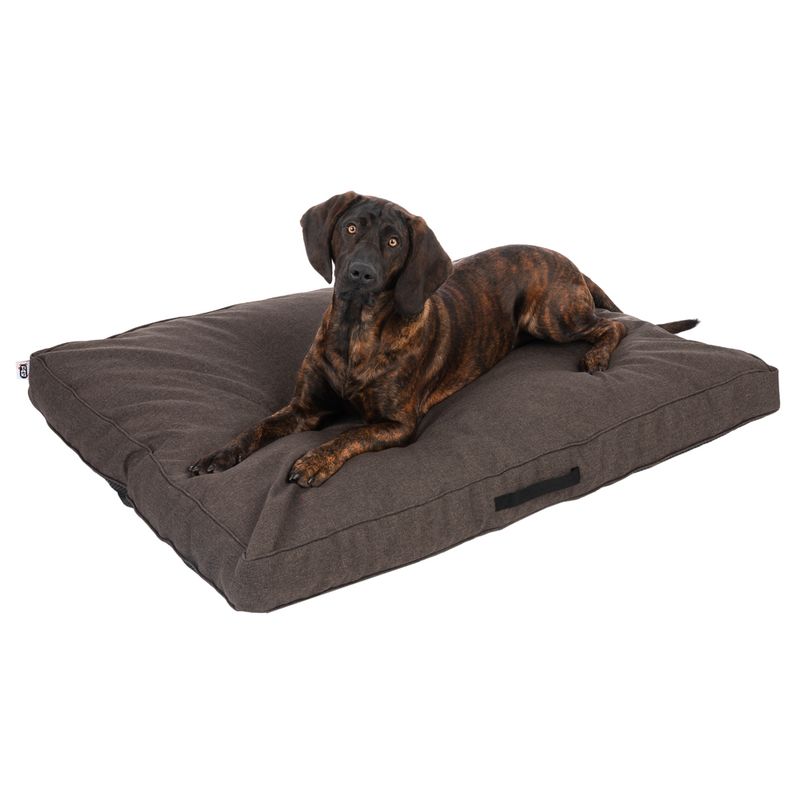 Dog lying on a large, brown rectangular dog cushion with a side carrying handle.