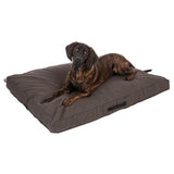 Dog lying on a large, brown rectangular dog cushion with a side carrying handle.