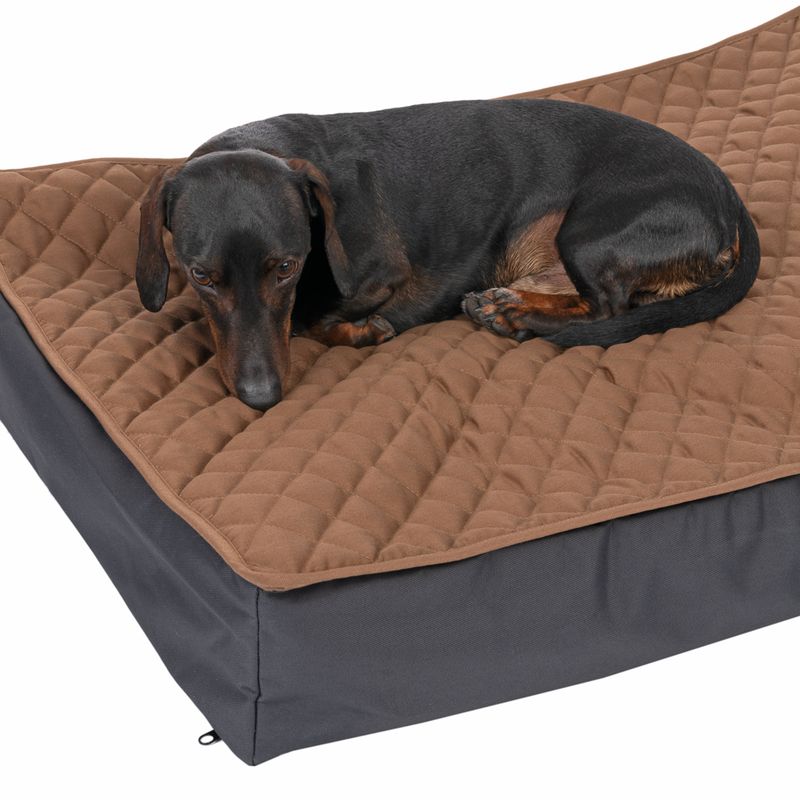 Dog lying on a brown, quilted dog bed with grey edge.