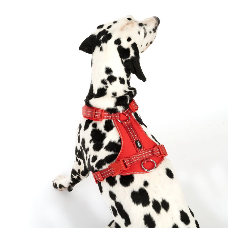 TIAKI Neoprene Harness - Red || TIAKI || view 4