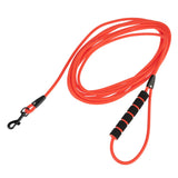 Bright red dog lead with black carabiner hook and padded handle. Length visibly coiled.