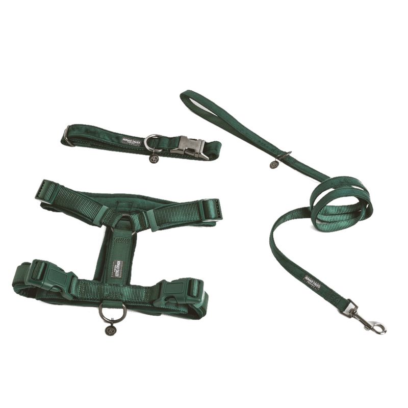 Nomad Tales Blush Harness - Emerald || Nomad Tales || view 7