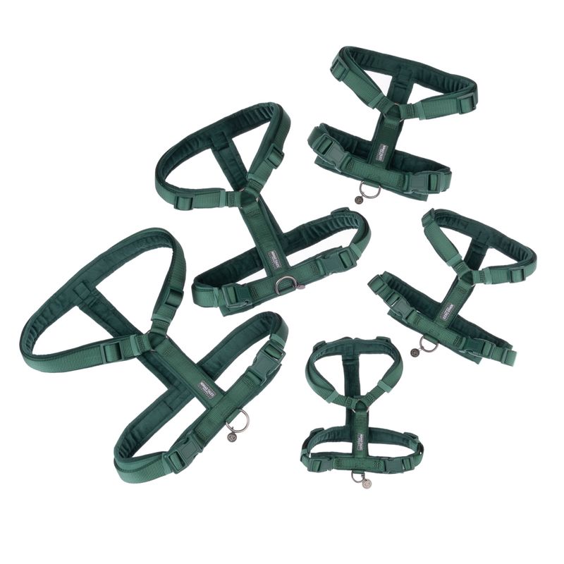 Nomad Tales Blush Harness - Emerald || Nomad Tales || view 22