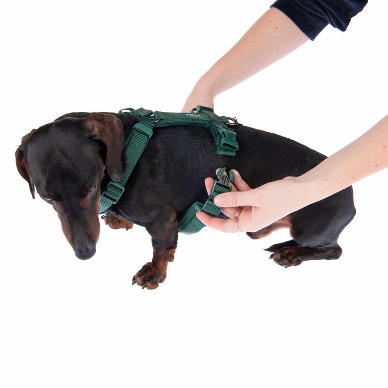 Nomad Tales Blush Harness - Emerald || Nomad Tales || view 15