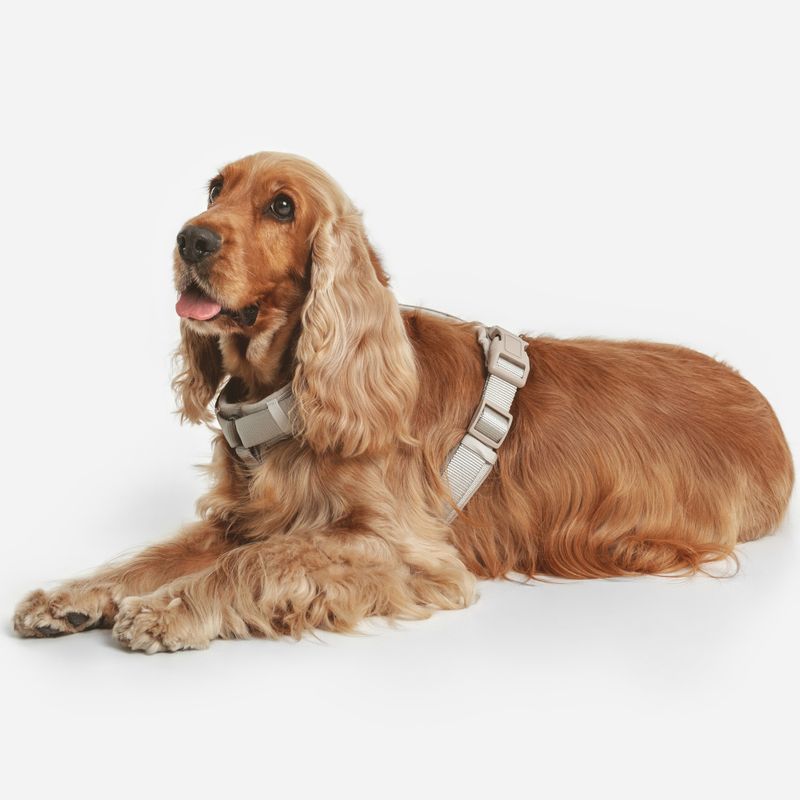 Nomad Tales Blush Harness - Taupe || Nomad Tales || view 15