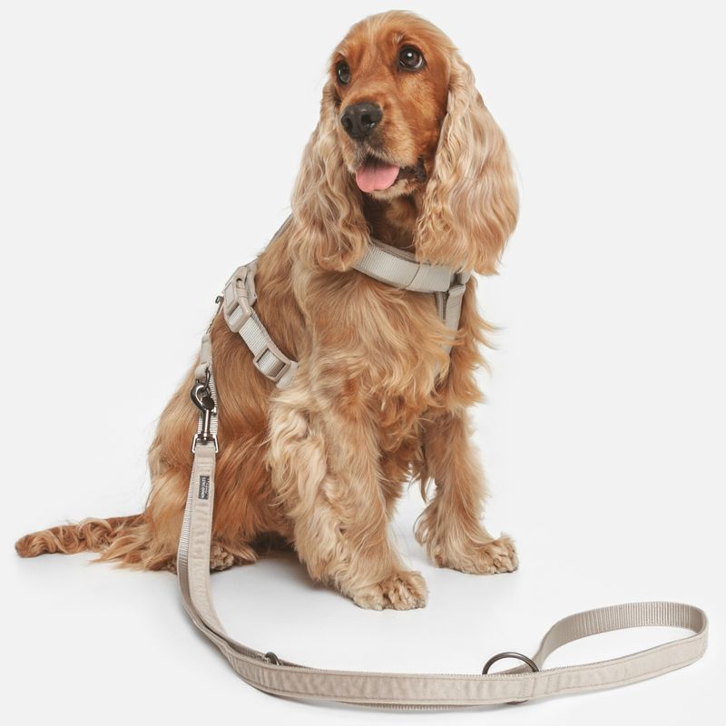 Nomad Tales Blush Harness - Taupe || Nomad Tales || view 4