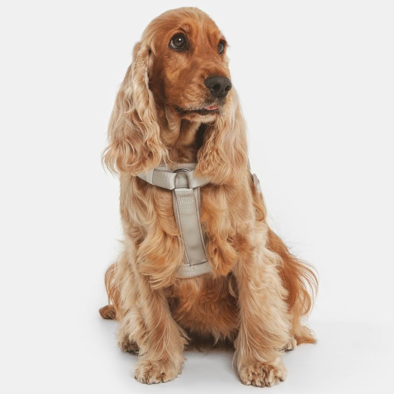Nomad Tales Blush Harness - Taupe || Nomad Tales || view 9