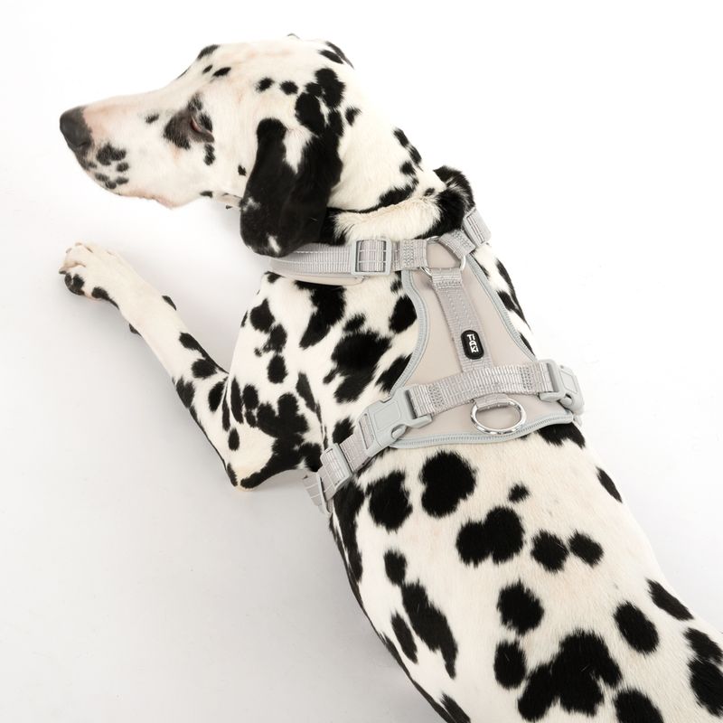 TIAKI Neoprene Harness - Grey || TIAKI || view 5