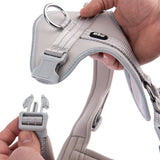 TIAKI Neoprene Harness - Grey || TIAKI || view 7