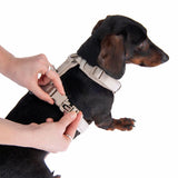 Nomad Tales Blush Harness - Taupe || Nomad Tales || view 17