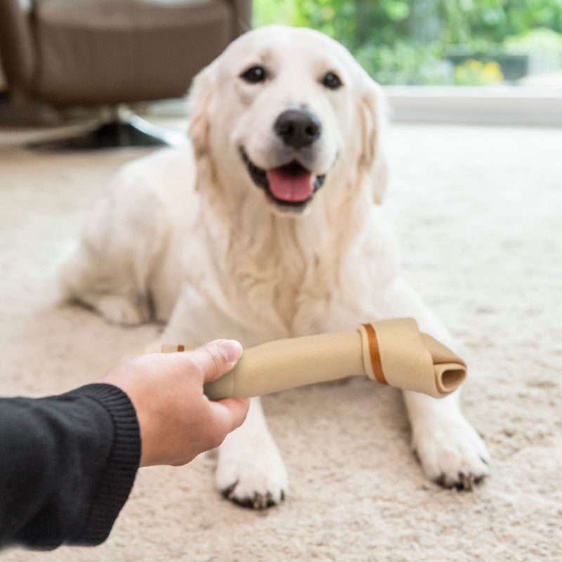 SmartBones Chew Snacks with Chicken for Large Dogs || SmartBones || view 4