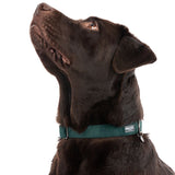 Nomad Tales Blush Collar - Emerald || Nomad Tales || view 4
