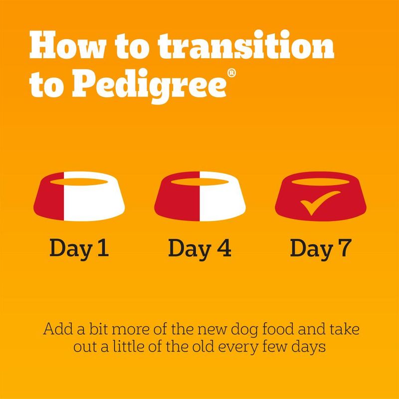 Pedigree Adult Multipack in Jelly Wet Dog Food || Pedigree || view 9