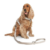 Nomad Tales Blush Dog Leash, taupe || Nomad Tales || view 4