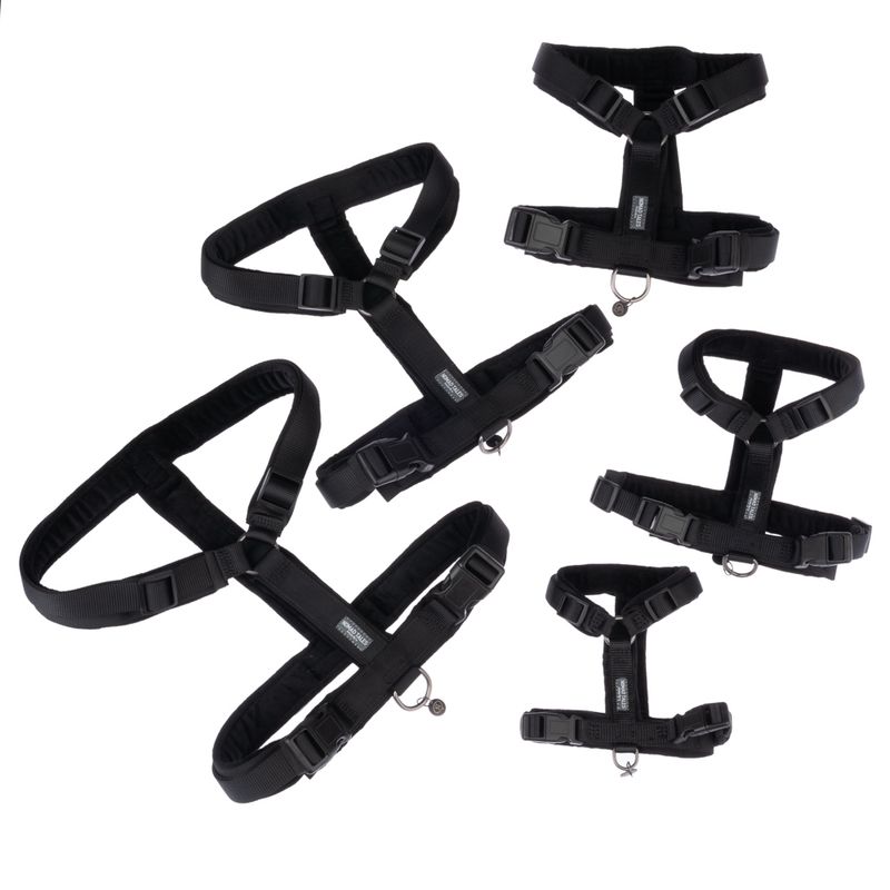 Black dog harnesses in various sizes with adjustable straps and metal rings for lead attachment.
