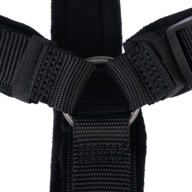 Close-up of a black harness system with metal ring and durable nylon straps, suitable for fastening or securing.