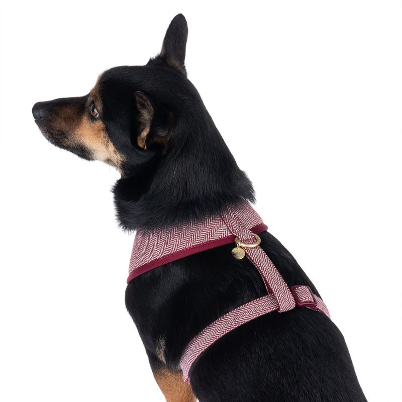 Nomad Tales Calma Harness - Burgundy || Nomad Tales || view 5