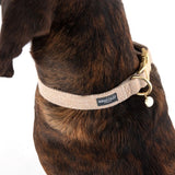 Nomad Tales Calma Collar - Sand || Nomad Tales || view 7